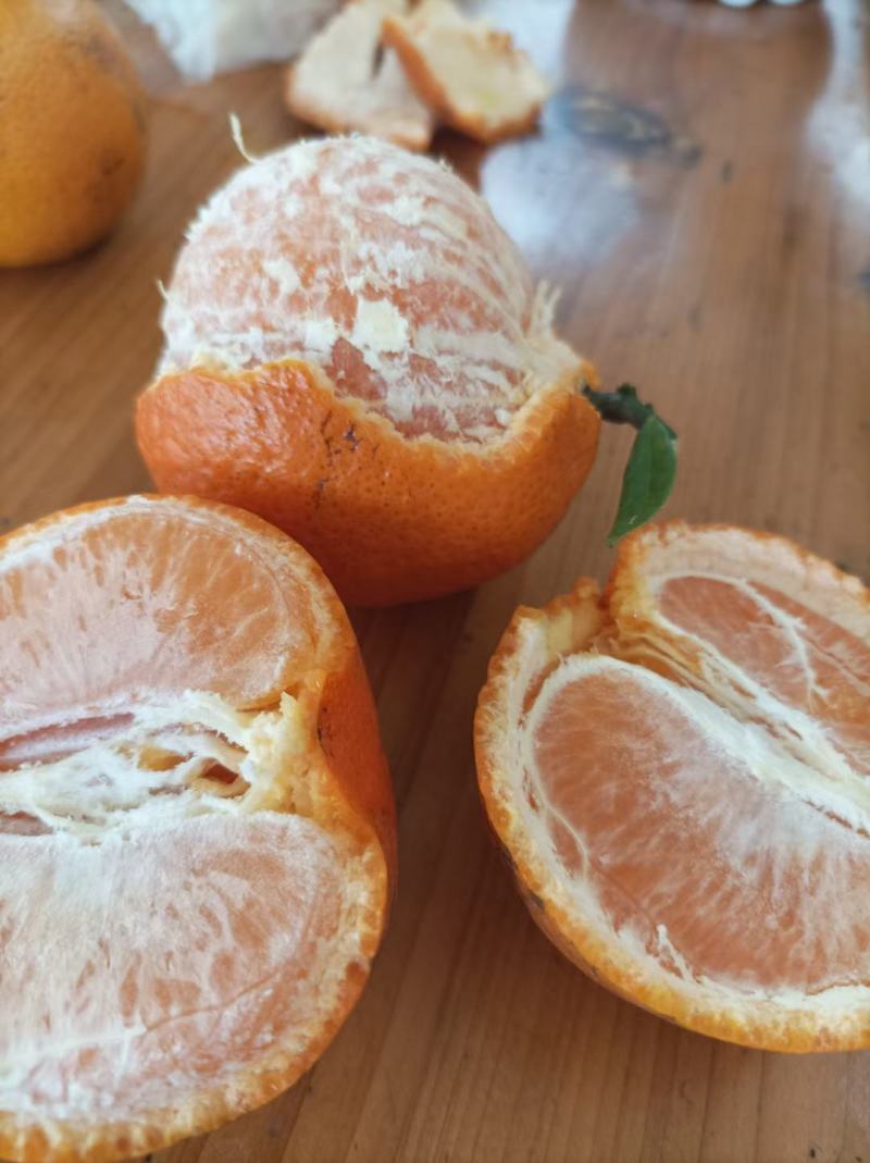 饶平潮州柑蕉柑柑果园大量现货欢迎订购
