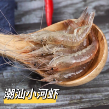 广东潮汕小河虾小土虾新鲜冷冻当天捕捞小白虾