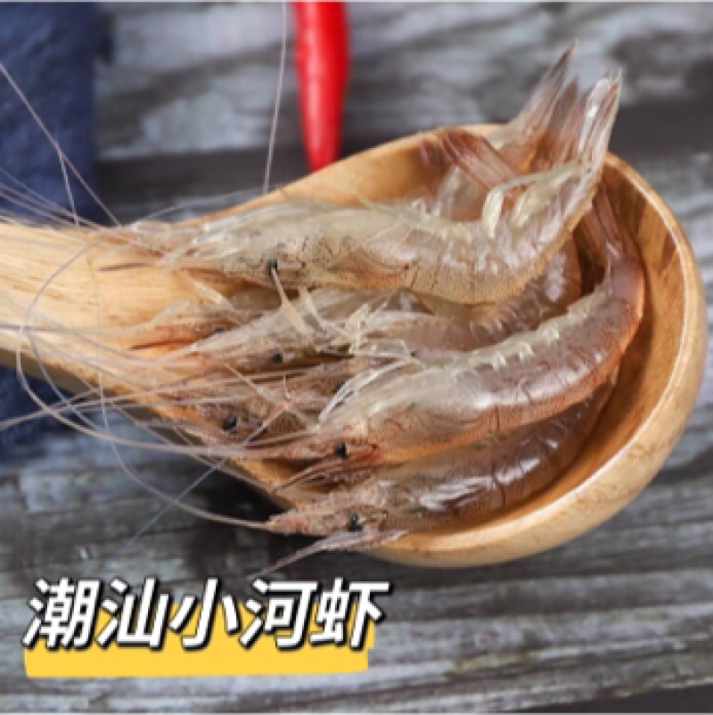 广东潮汕小河虾小土虾新鲜冷冻当天捕捞小白虾