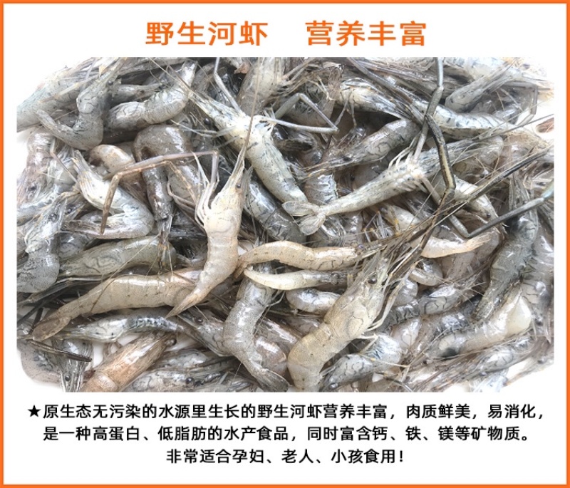 广东潮汕小河虾小土虾新鲜冷冻当天捕捞小白虾