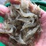 广东潮汕小河虾小土虾新鲜冷冻当天捕捞小白虾