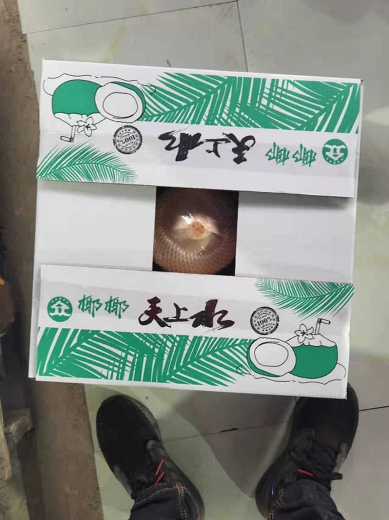 海南文昌椰青，支持全国一件代发，批发可厂直供整车发