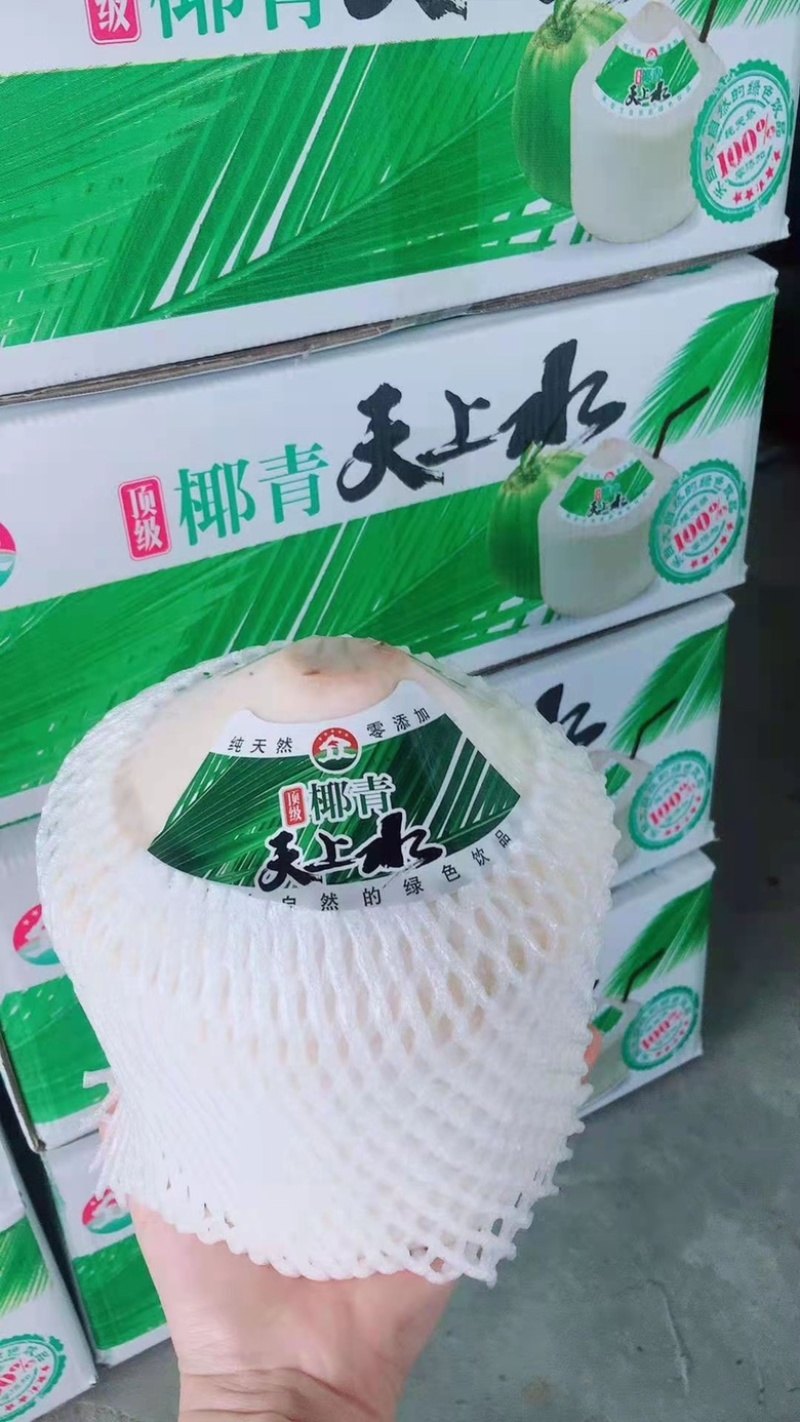 海南文昌椰青，支持全国一件代发，批发可厂直供整车发
