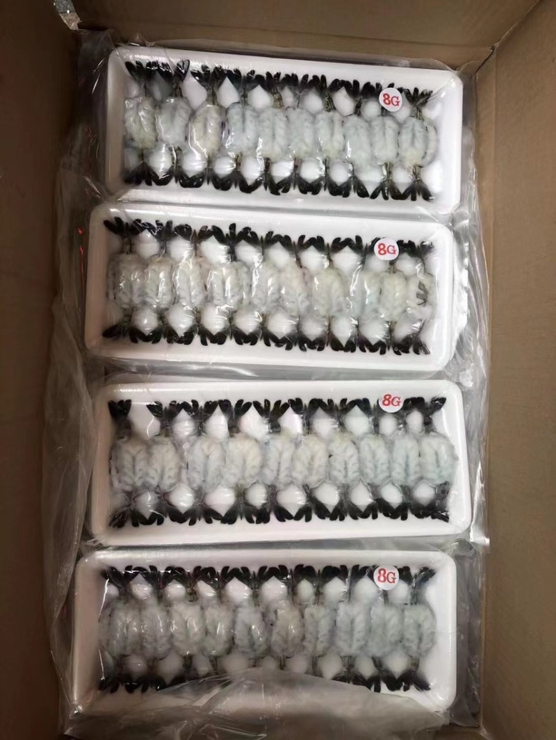 寿司刺身虎虾