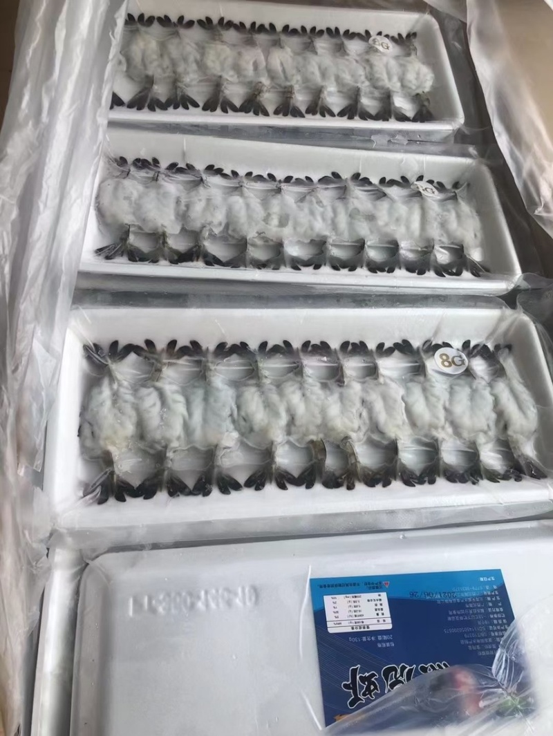 寿司刺身虎虾