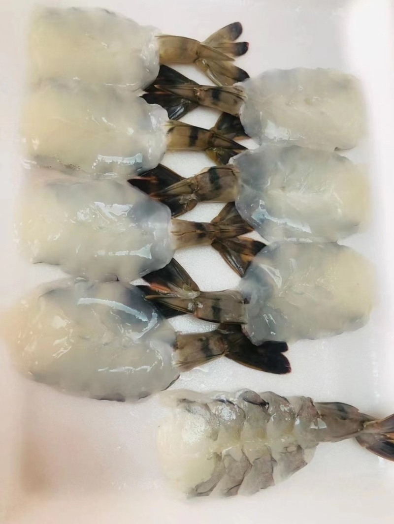 寿司刺身虎虾