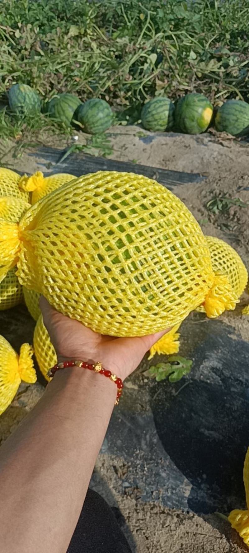特小凤
