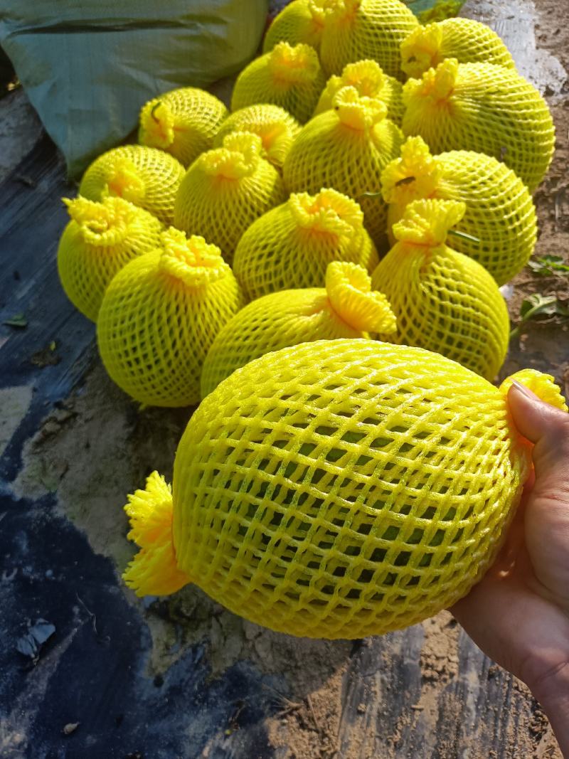 特小凤