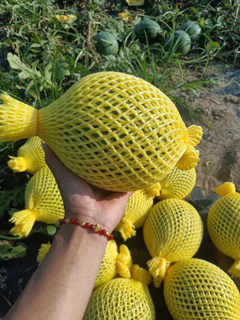 特小凤