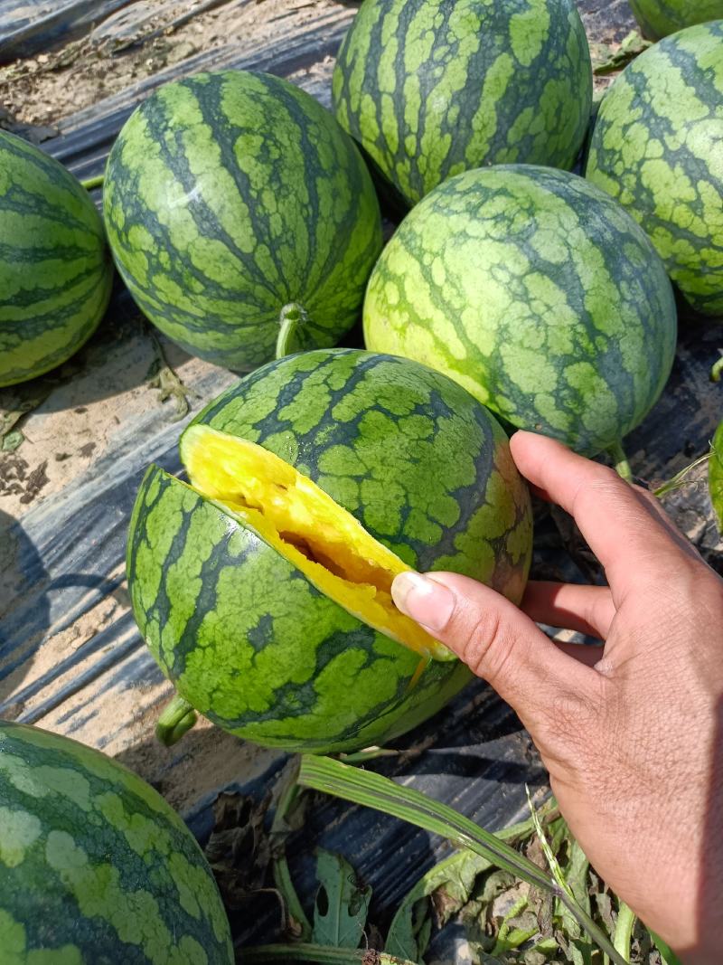 特小凤