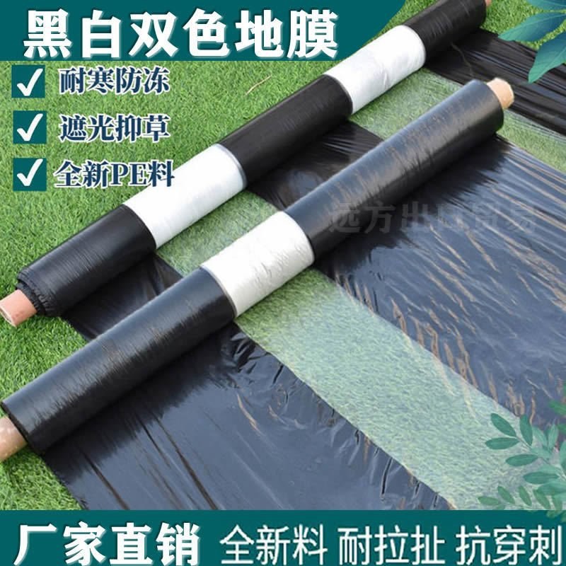 黑白相间农用地膜单白双白地膜保温保湿除草蔬菜药材庄稼种植