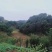5000亩水田出租