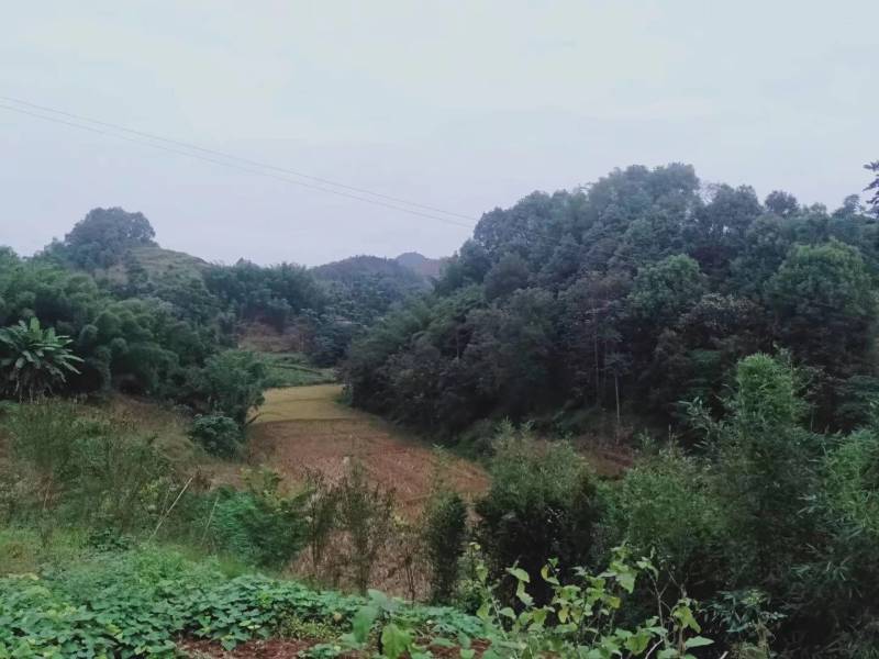 5000亩水田出租