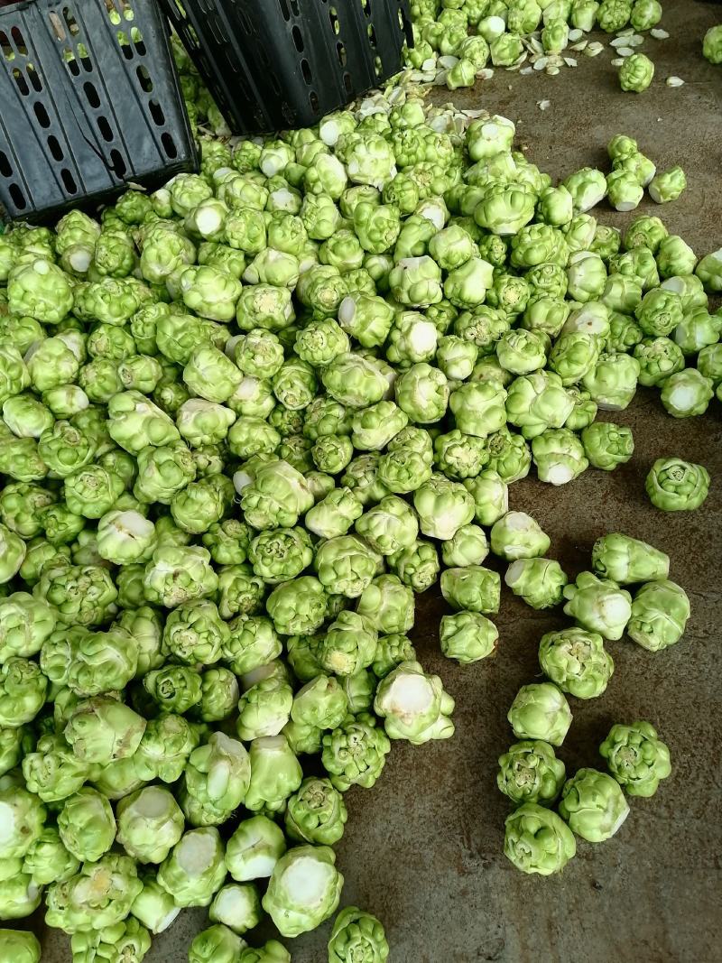 榨菜（产地货，常年合作，市场货，通货均供）