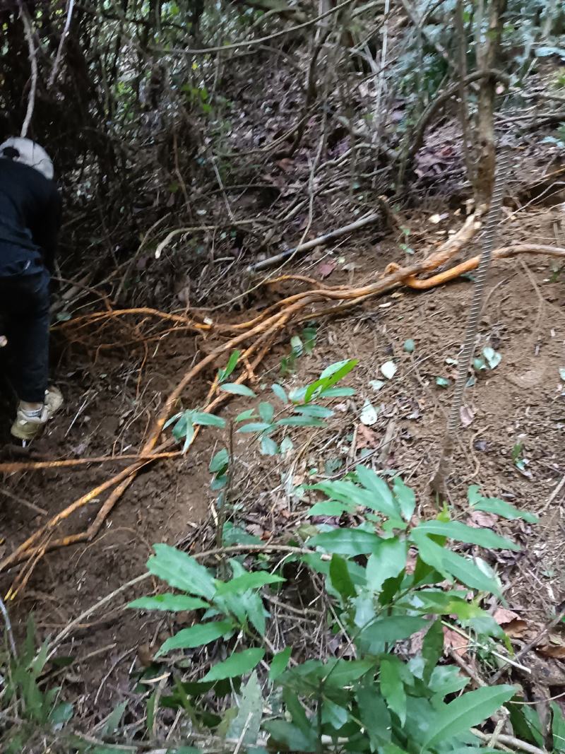 天然穿破石大山现挖