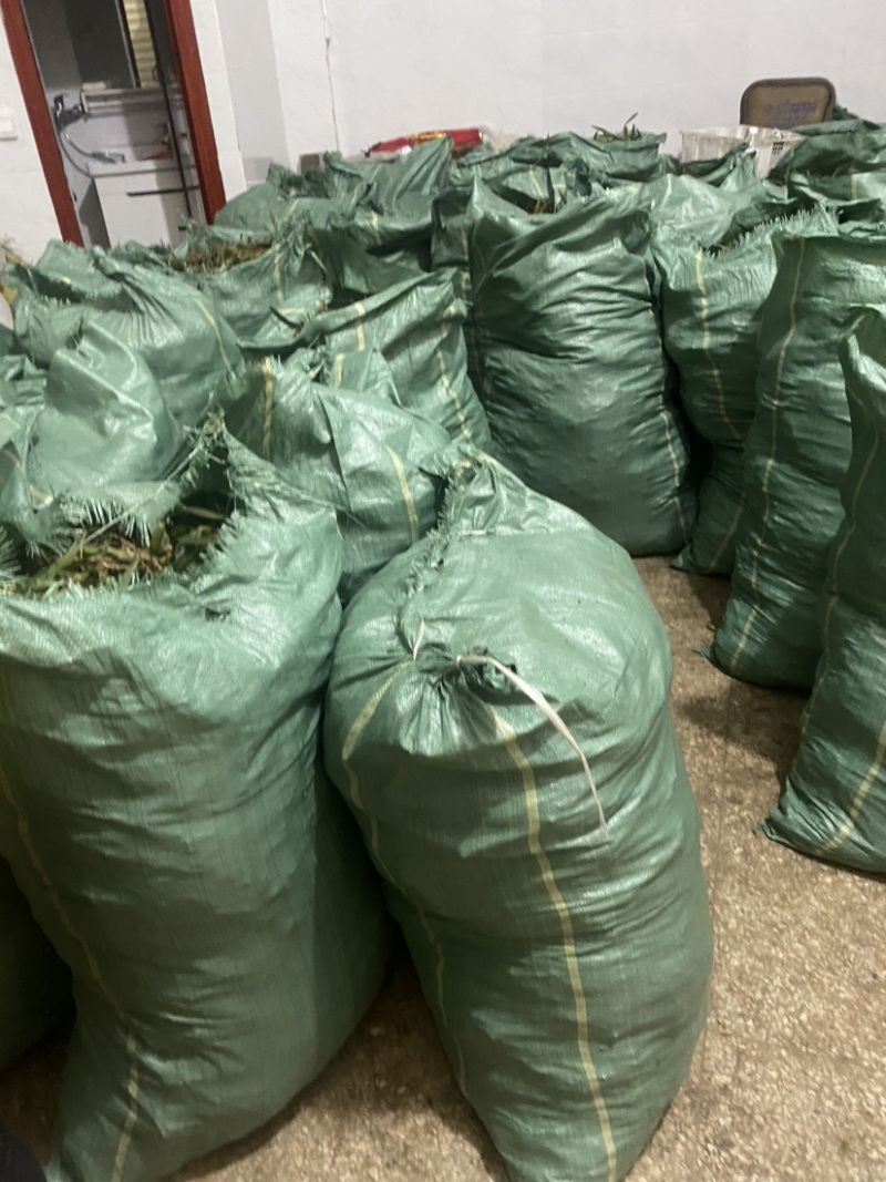 双叶大果石橄榄石仙桃产地直发现货供应量大从优