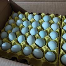 农家土蛋绿壳土鸡蛋支持全国发货保证质量