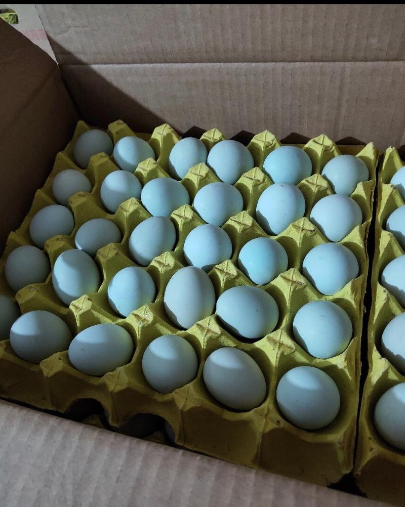 农家土蛋绿壳土鸡蛋支持全国发货保证质量