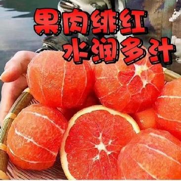 血橙，中华红橙，果面干净，果肉鲜红，口感纯甜，产地直发