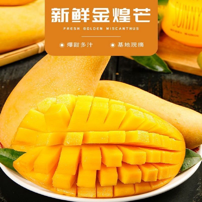 海南金煌芒产地直发，承接各大平台订单，可整车发货