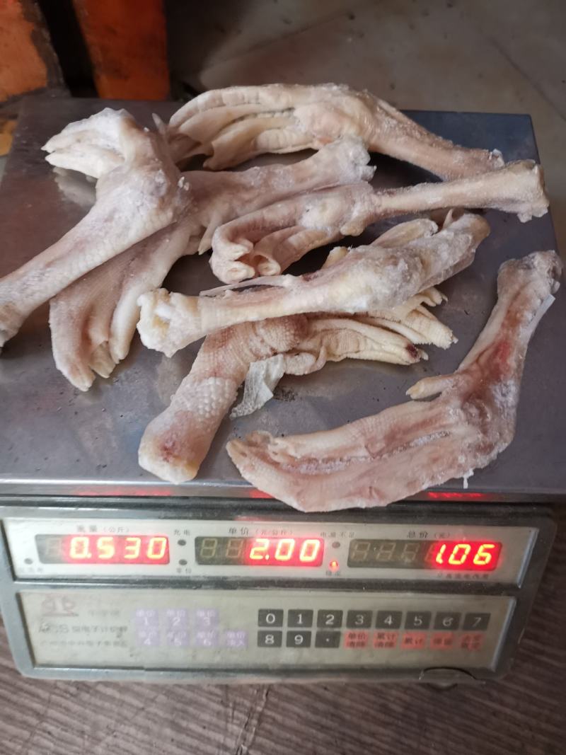 大鹅脚6~7个一斤关节位有破损断掌分叉掌可做盐焗卤水煲