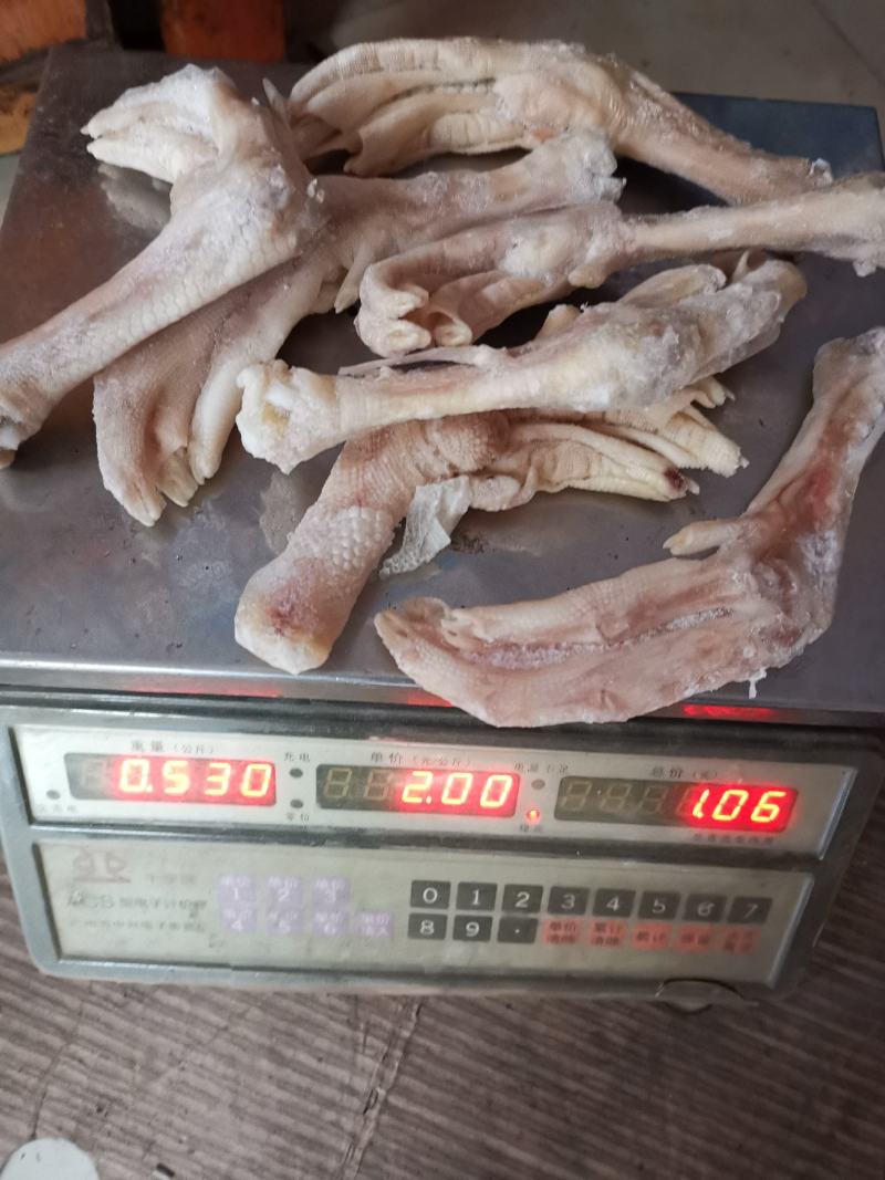 大鹅脚6~7个一斤关节位有破损断掌分叉掌可做盐焗卤水煲