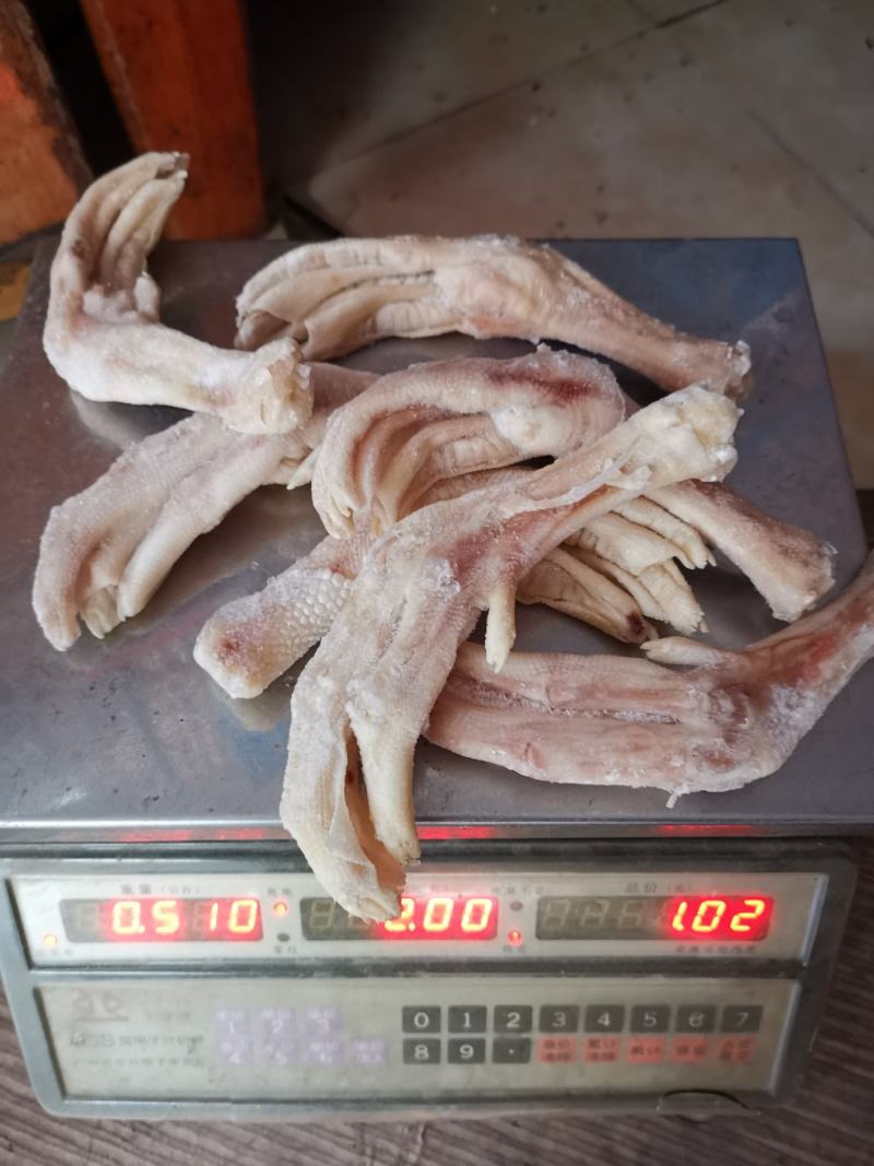 大鹅脚6~7个一斤关节位有破损断掌分叉掌可做盐焗卤水煲