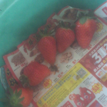 下沙草莓