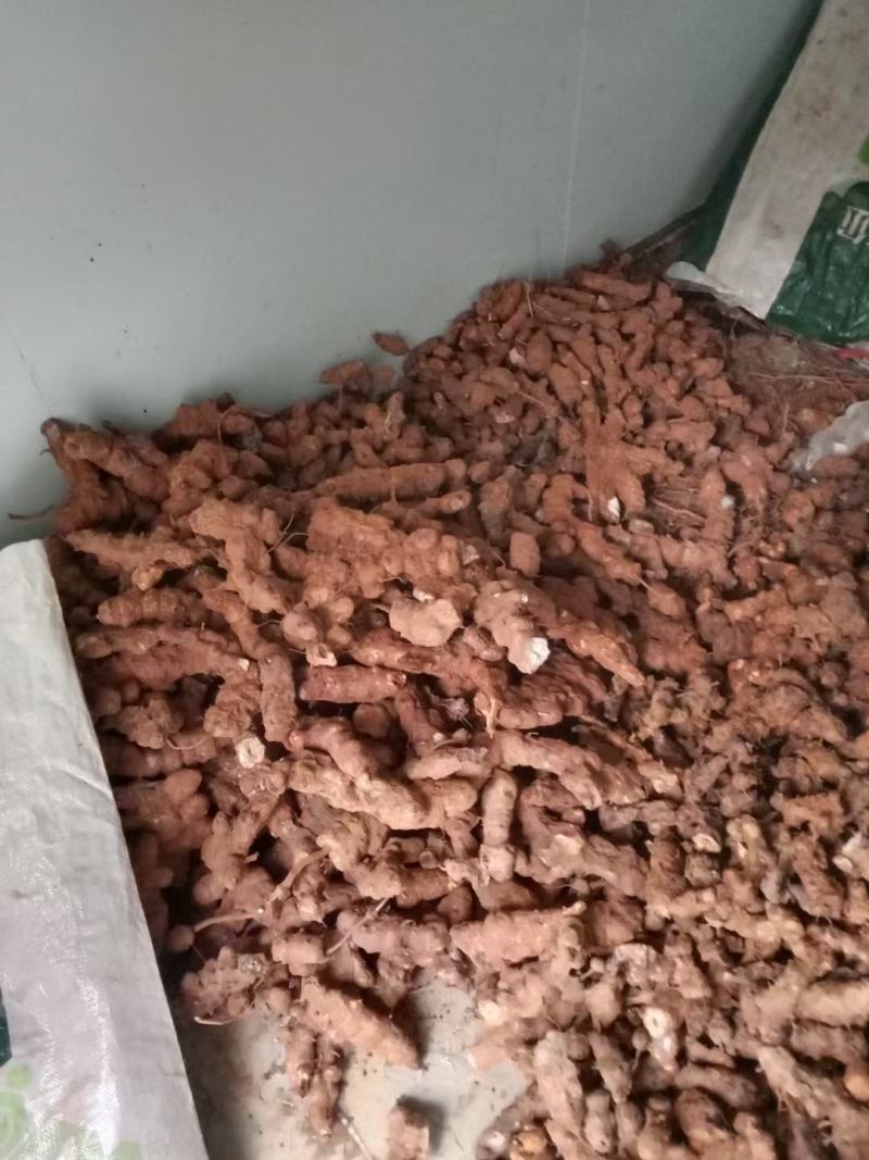 野生土茯苓切片，天然晒干。粉质白肉，无硫