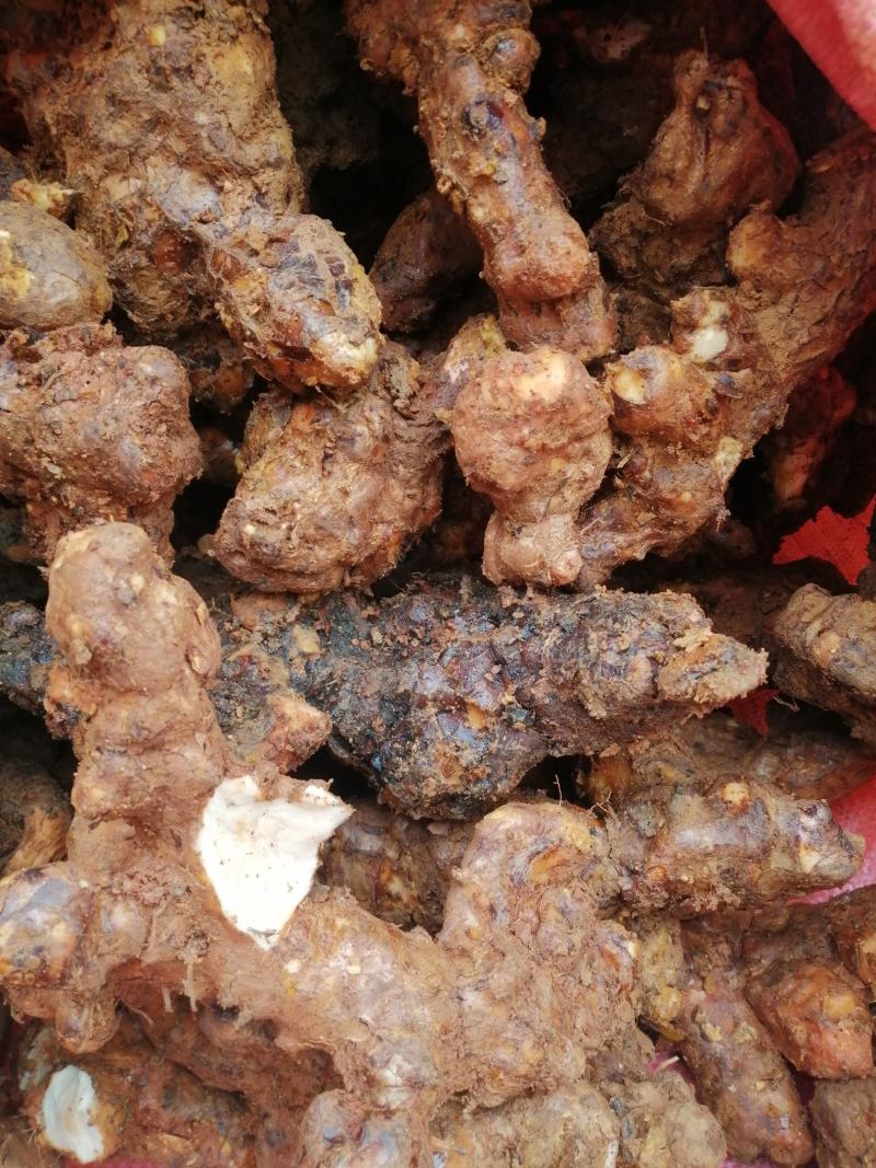 野生土茯苓切片，天然晒干。粉质白肉，无硫