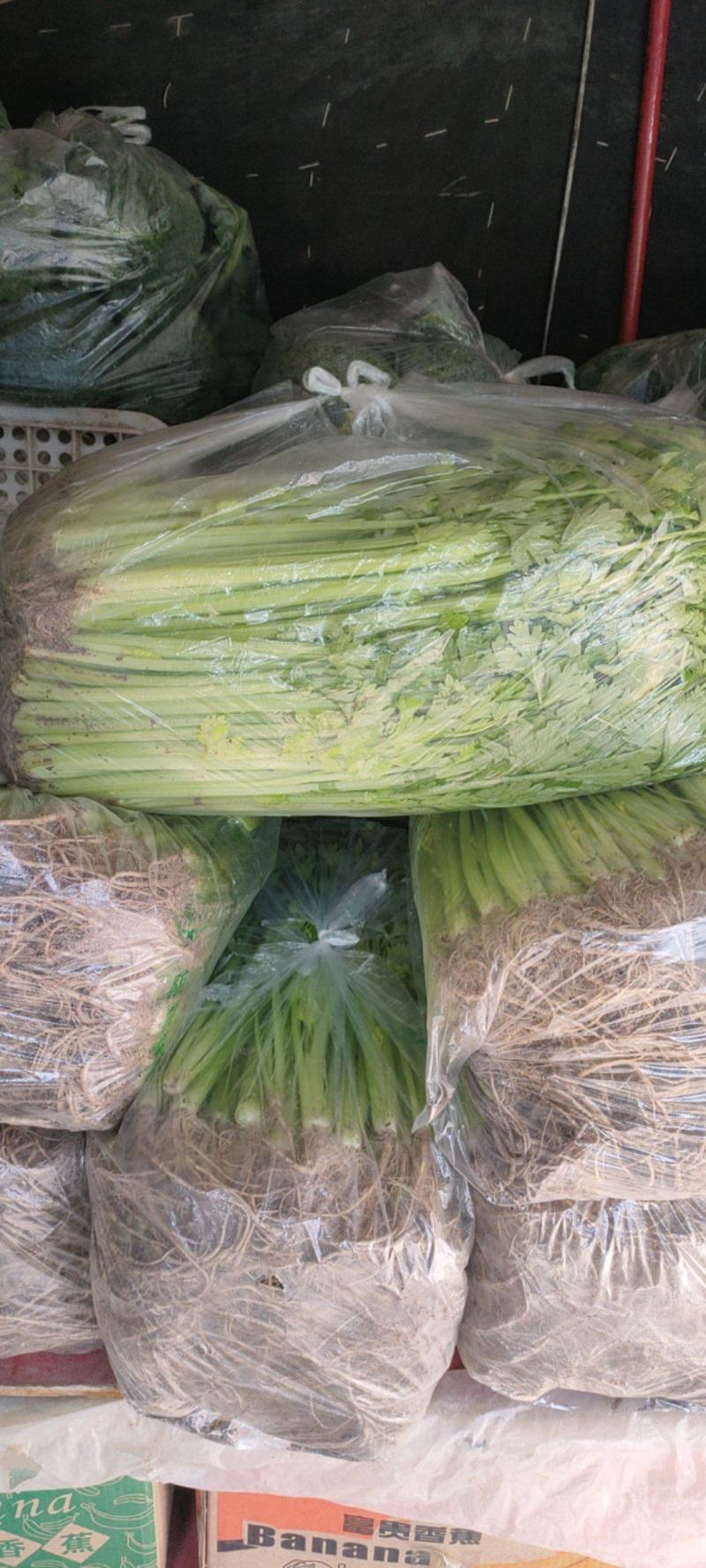 精品香菜