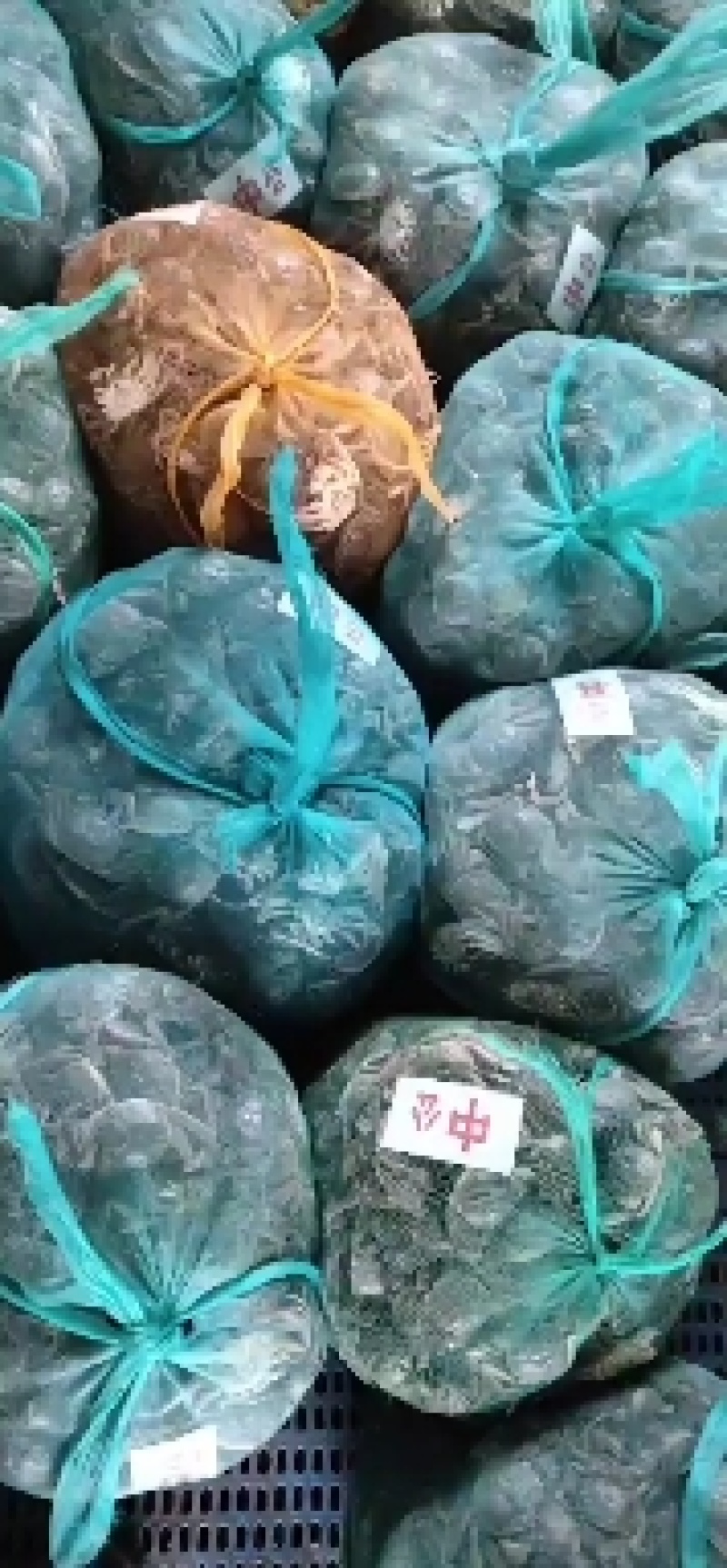 【精品】老头蟹产地直发蟹黄饱满对接各大批发商超市