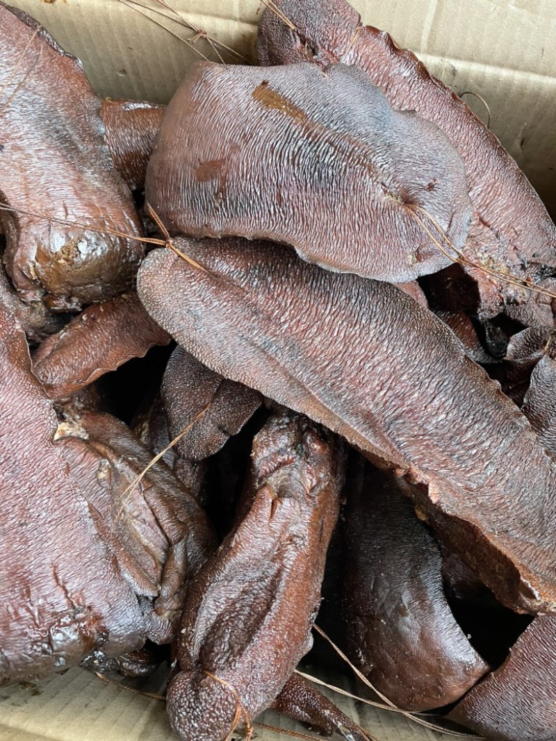 烟熏干腊猪肝一手工厂餐饮净菜食品供应摆摊展会新模式