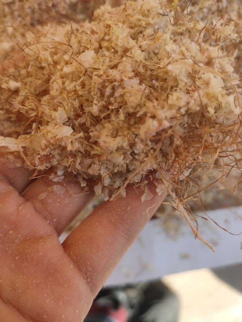 批发供应玉米毛毛牲畜反刍量大优惠大量批发