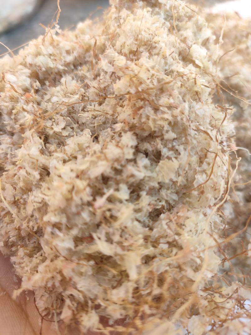 批发供应玉米毛毛牲畜反刍量大优惠大量批发