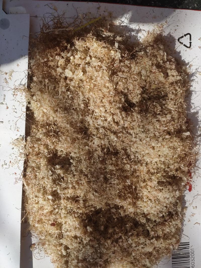 批发供应玉米毛毛牲畜反刍量大优惠大量批发
