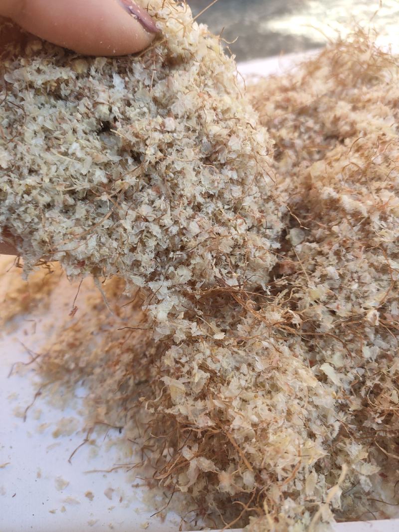 批发供应玉米毛毛牲畜反刍量大优惠大量批发