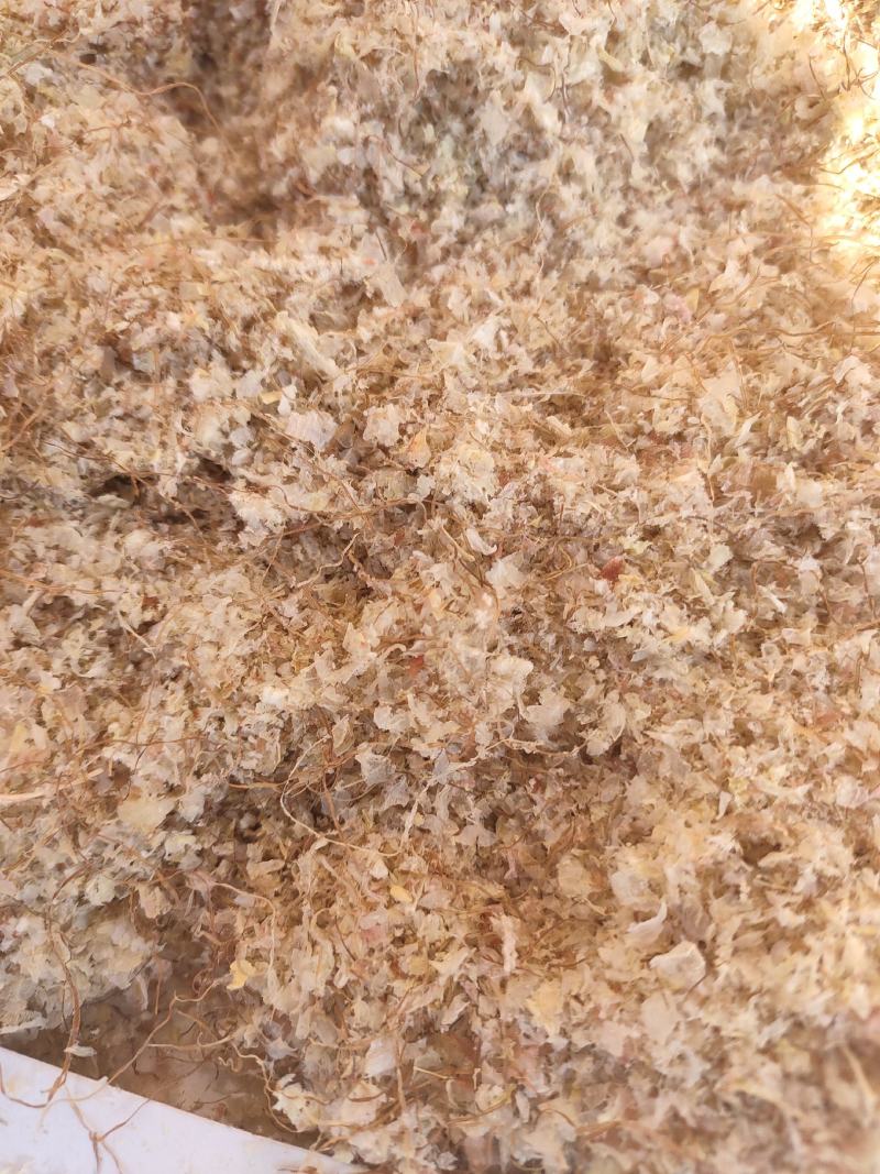 批发供应玉米毛毛牲畜反刍量大优惠大量批发