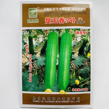 楚玉香5号香丝瓜种子油亮皮早熟耐低温短棒丝瓜种籽春秋季
