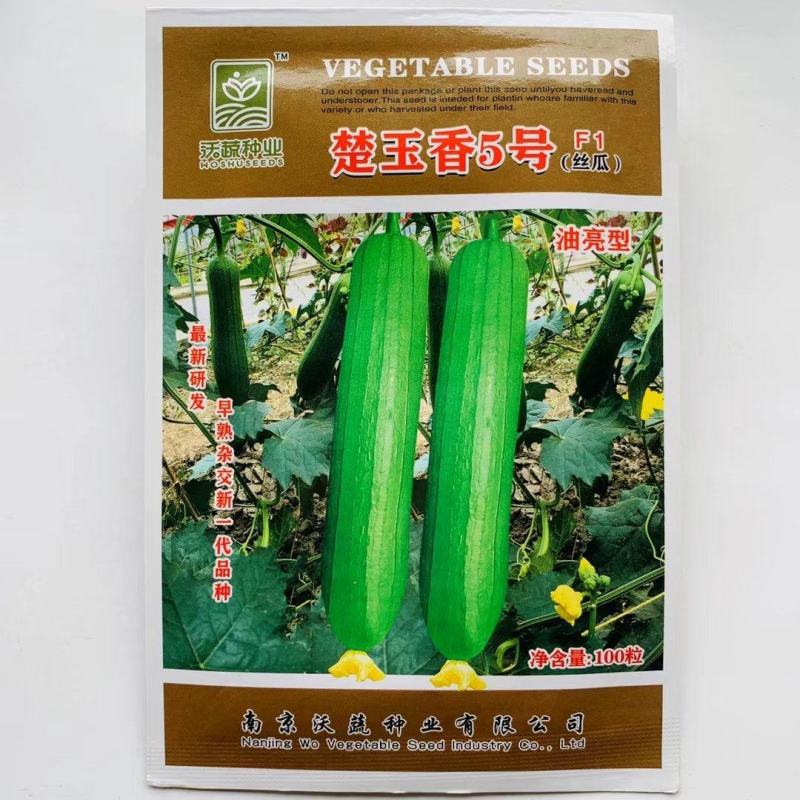 楚玉香5号香丝瓜种子油亮皮早熟耐低温短棒丝瓜种籽春秋季
