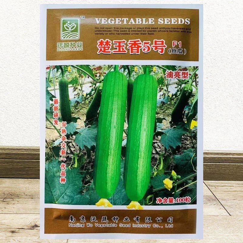 楚玉香5号香丝瓜种子油亮皮早熟耐低温短棒丝瓜种籽春秋季