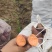 西瓜红通货，厂货，手提袋装，饲料袋等等，，，，，，，
