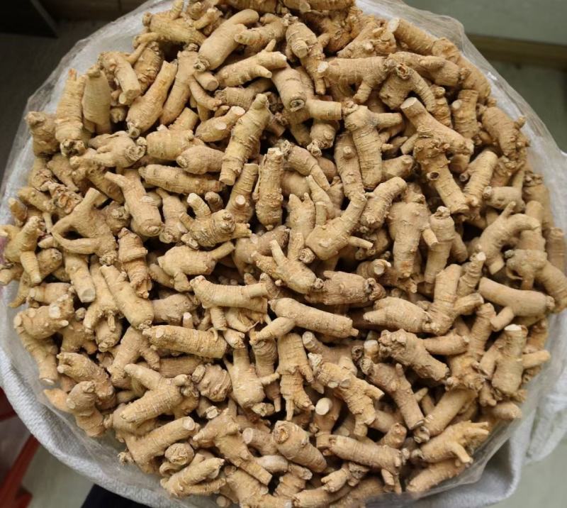 10g山东原枞西洋参大粒山东参开叉山东参硬枝货新货足干肉
