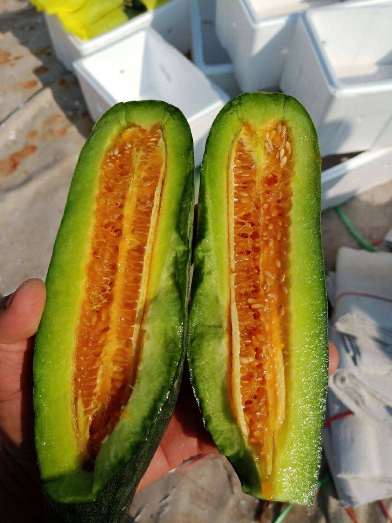 （精品推荐）羊角蜜甜瓜大量供应市场电商专业代收代发