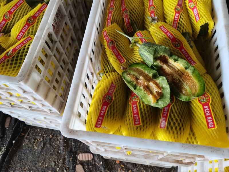 （精品推荐）羊角蜜甜瓜大量供应市场电商专业代收代发