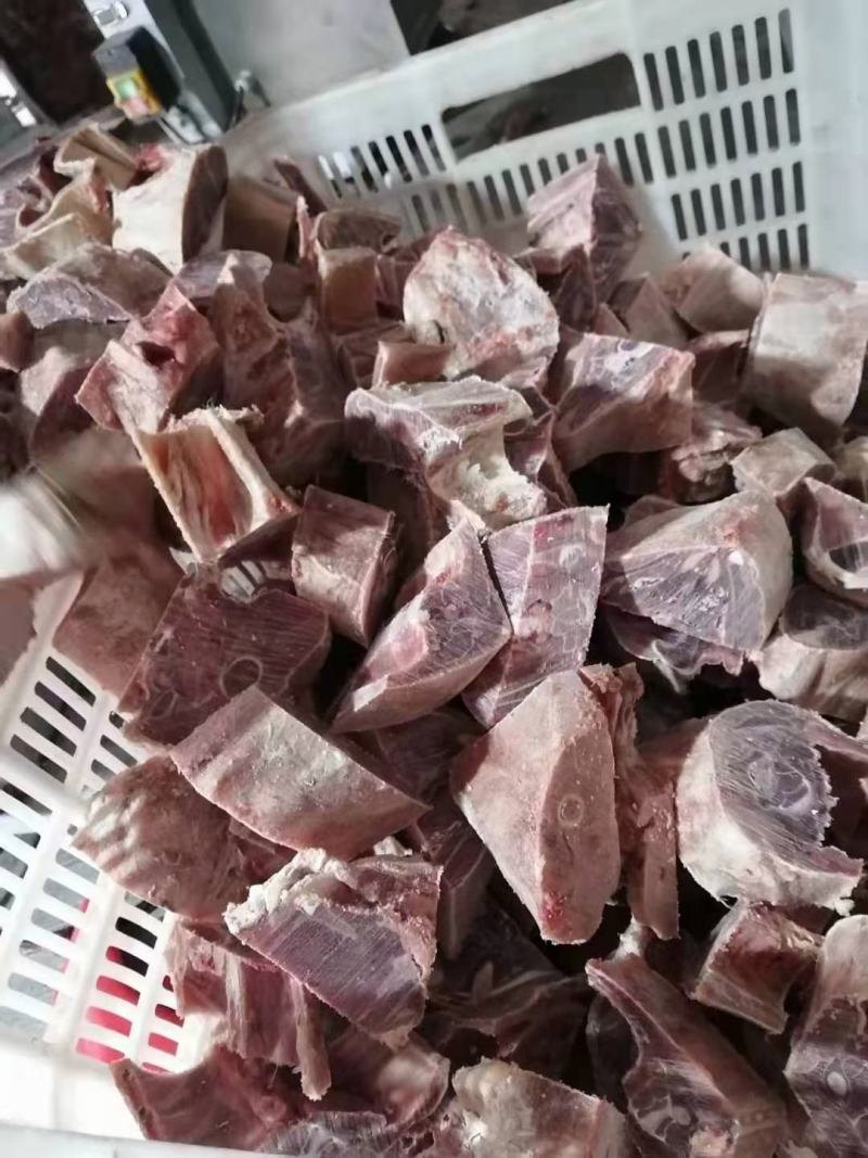 满肉羊蝎子多肉羊脊骨多肉羊脖骨可锯断一件起发