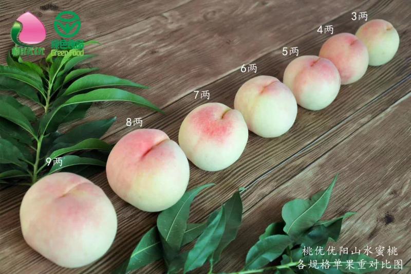 安徽六安陆天突围毛桃油桃大量上市中，精品，油桃，毛桃，