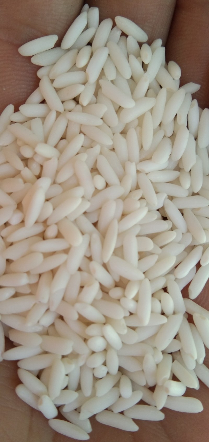 食泉坊泰香糯米