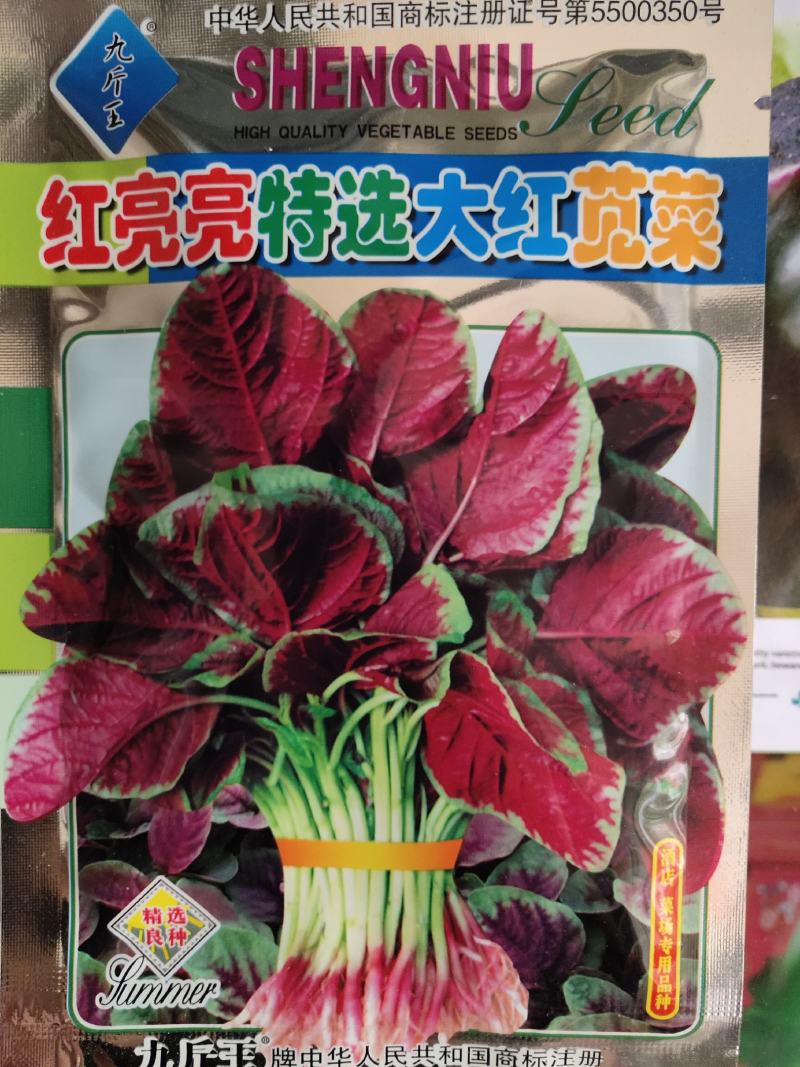 红亮亮特选大红苋菜种子，白梗大叶苋菜，不易结籽，高产