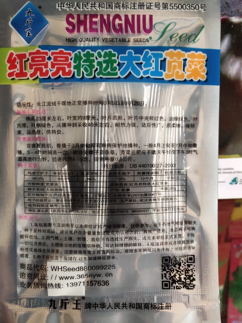 红亮亮特选大红苋菜种子，白梗大叶苋菜，不易结籽，高产